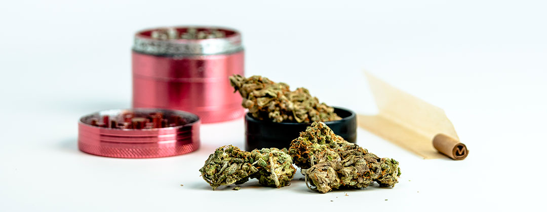 Cogollos de marihuana medicinal o terapéutico
